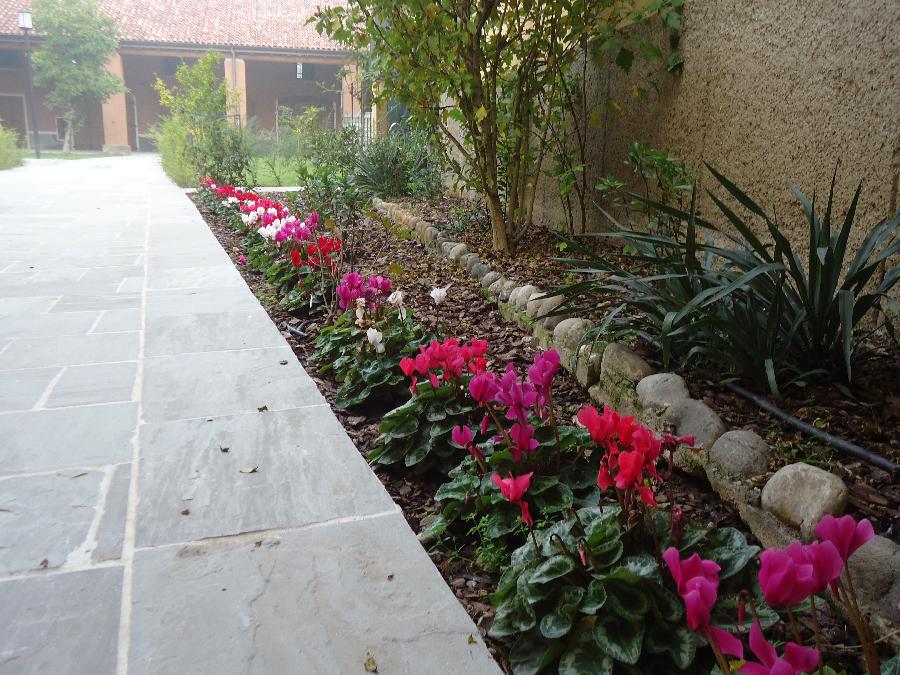 image 11 of Attuazione del Piano di Recupero Cascina Vione