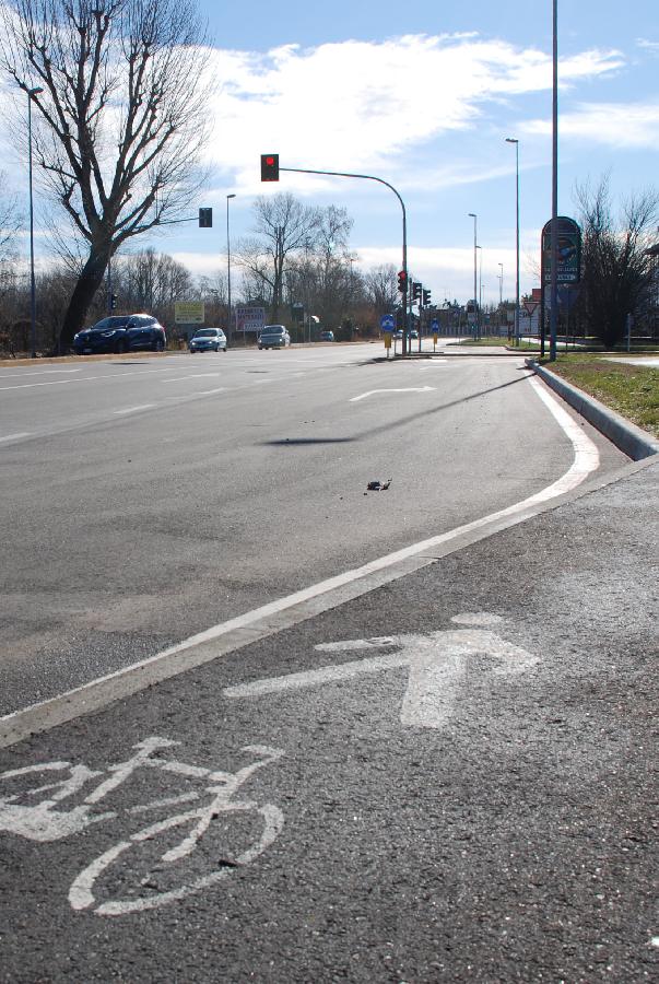 image 3 of Percorso ciclopedonale lungo viale Europa