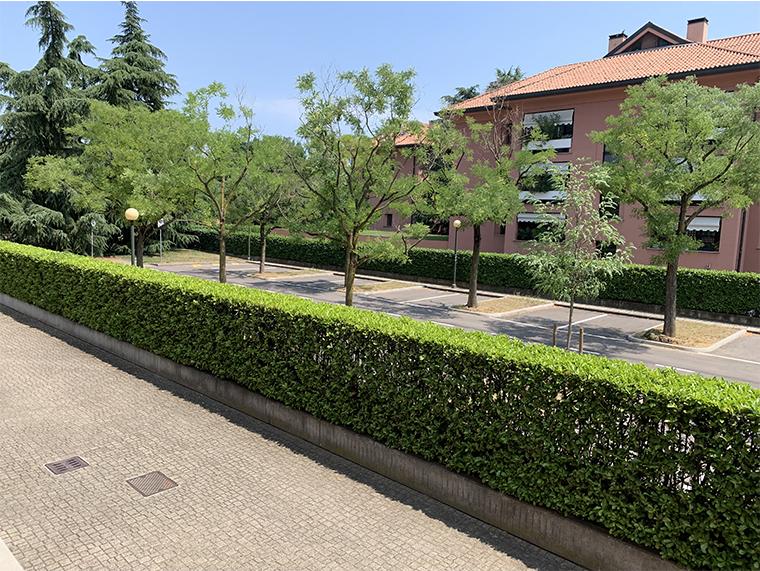 image 6 of Riqualificazione parcheggio via Leopardi