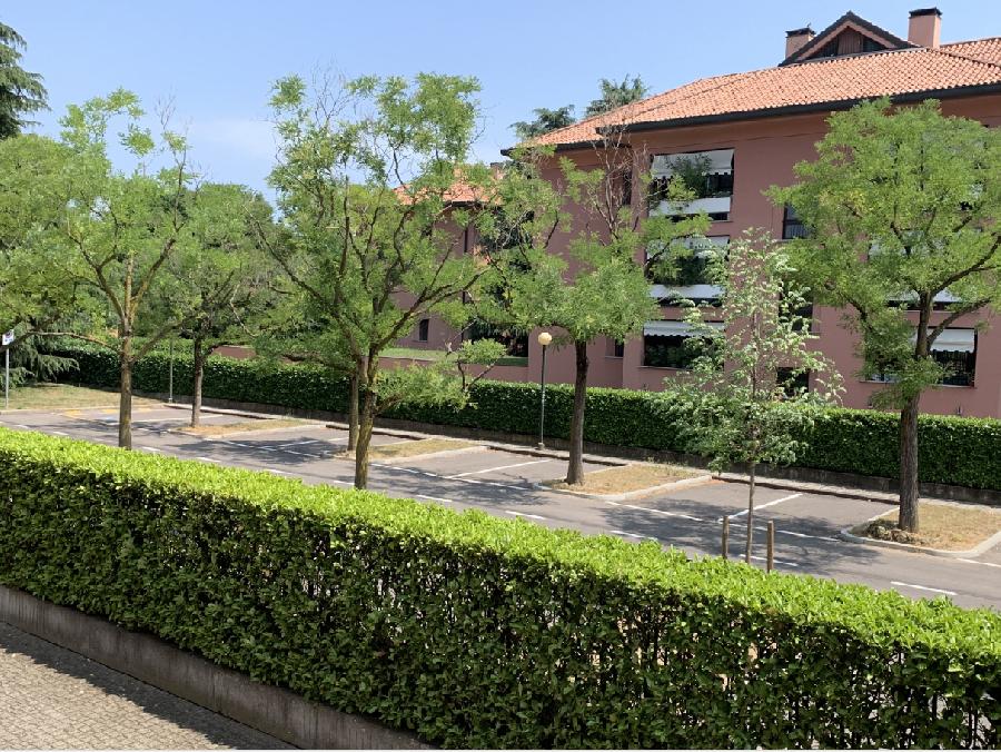 image 9 of Riqualificazione parcheggio via Leopardi