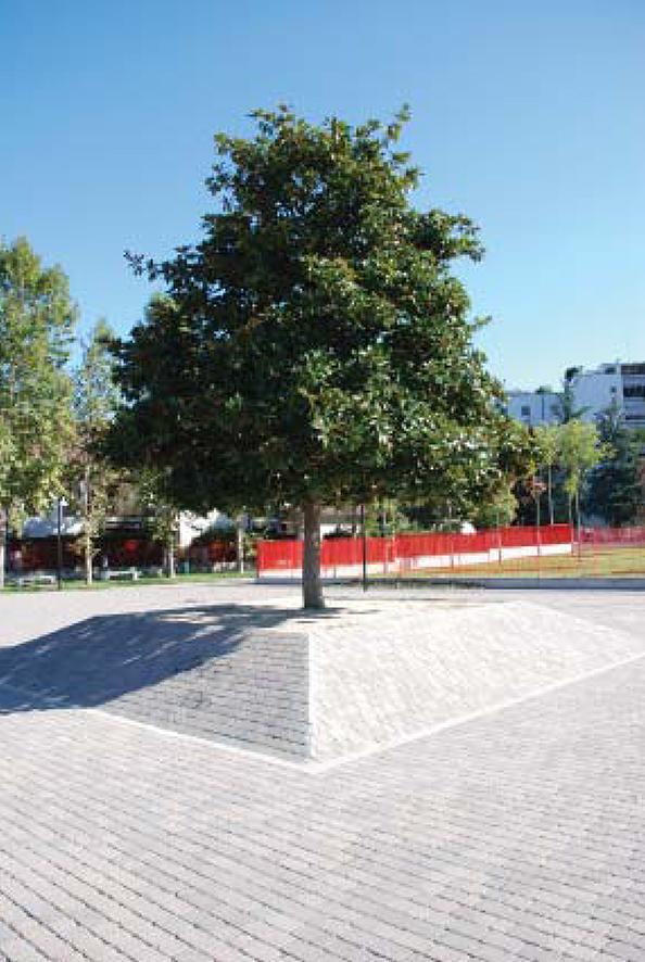 image 0 of Riqualificazione Parco Pubblico Valleambrosia e strade limitrofe