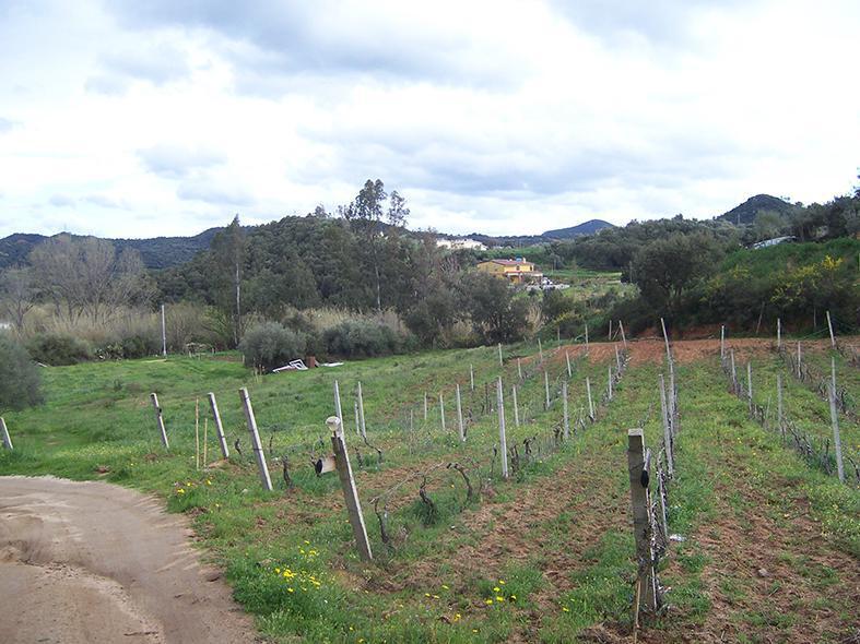 image 1 of Studio di fattibilità per attivita agri-turistica