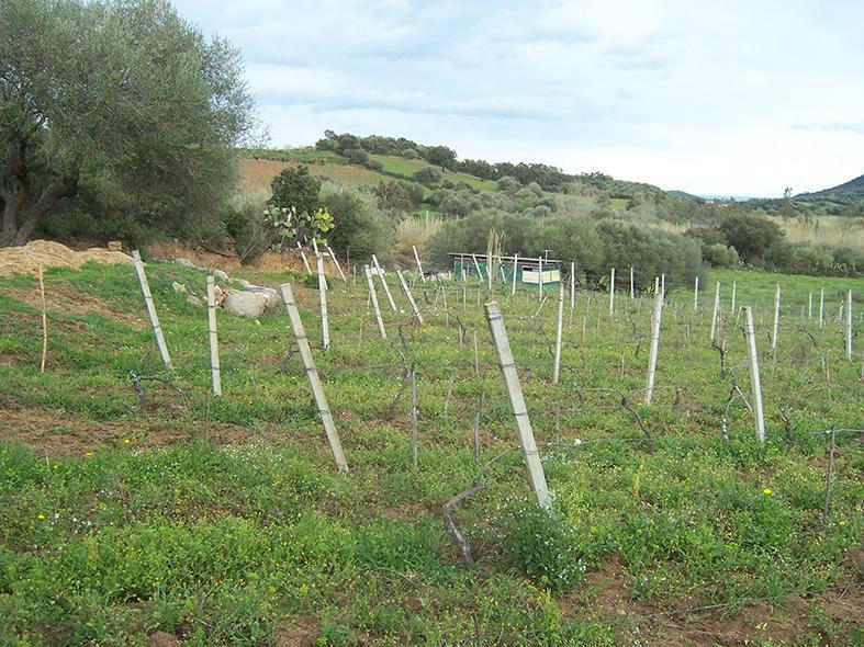 image 3 of Studio di fattibilità per attivita agri-turistica