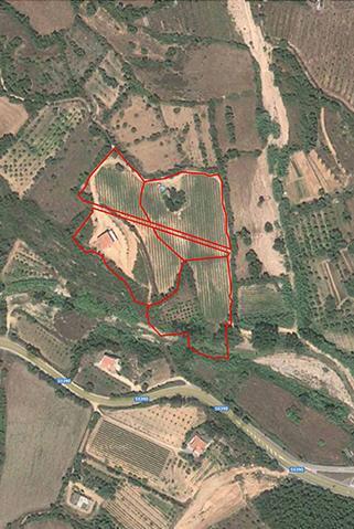 image 9 of Studio di fattibilità per attivita agri-turistica
