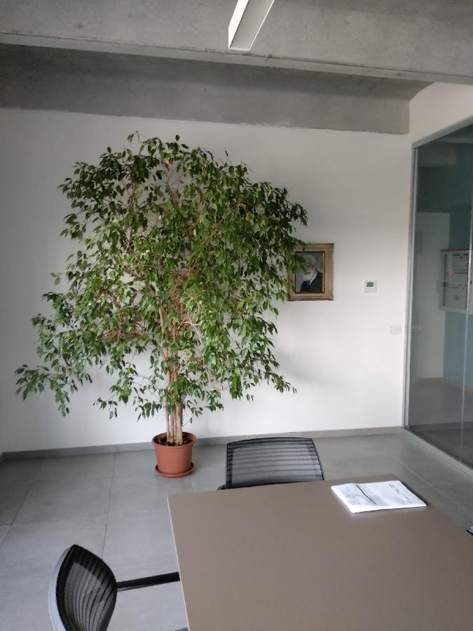 image 4 of Uffici NEWBT Grupponew