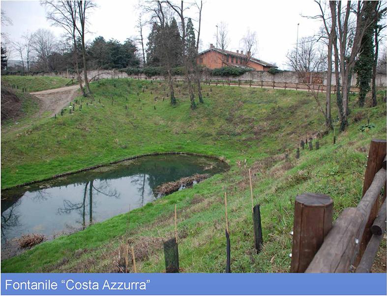 image 2 of Valorizzazione del PLIS del Basso Olona Rhodense