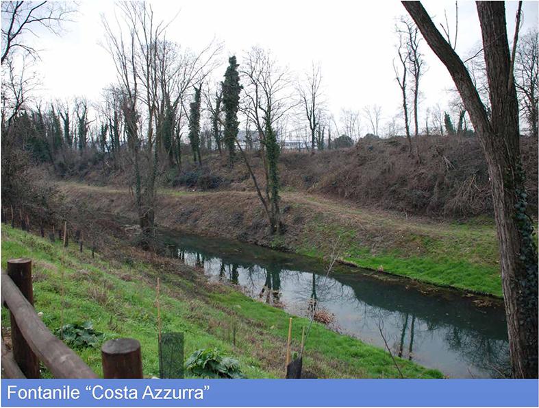 image 3 of Valorizzazione del PLIS del Basso Olona Rhodense