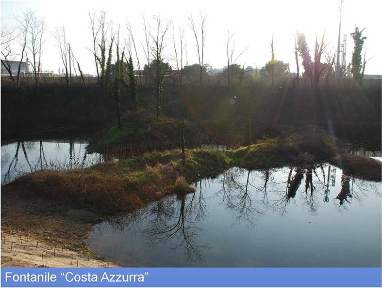 image 7 of Valorizzazione del PLIS del Basso Olona Rhodense