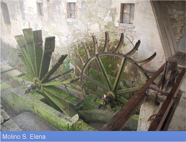 image 22 of Valorizzazione del PLIS del Basso Olona Rhodense